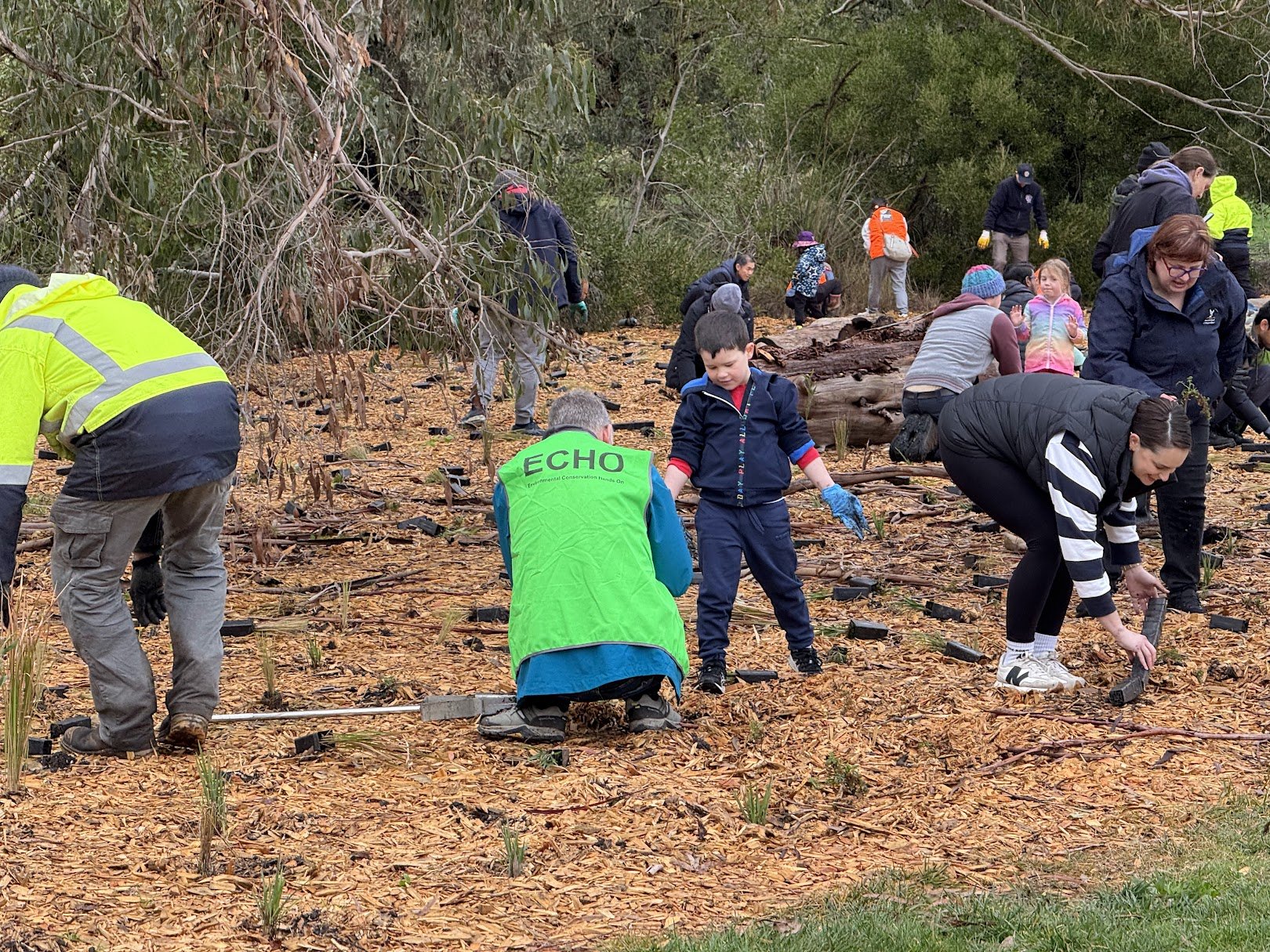 National Tree Day planting at Koolamara Waters Reserve.
